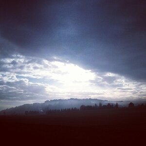 Boîte à Polas - 2014, 2014_199