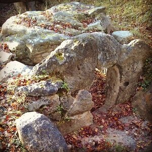 Boîte à Polas - 2014, 2014_202