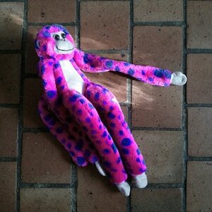 Boîte à Polas - 2014, 2014_204