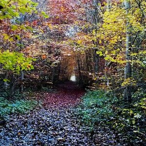 Boîte à Polas - 2014, 2014_222