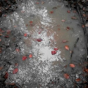 Boîte à Polas - 2014, 2014_223