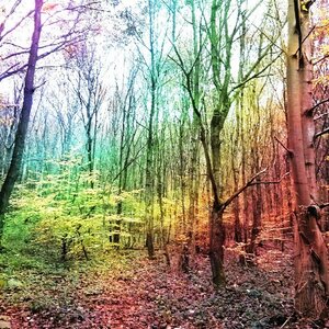 Boîte à Polas - 2014, 2014_224