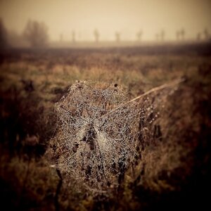 Boîte à Polas - 2014, 2014_230