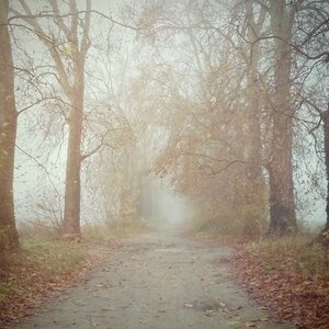 Boîte à Polas - 2014, 2014_234