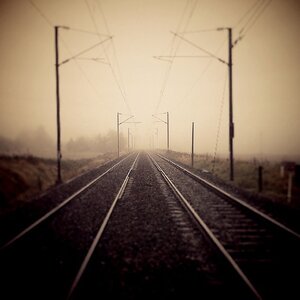 Boîte à Polas - 2014, 2014_235