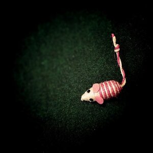 Boîte à Polas - 2014, 2014_243