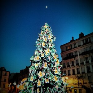 Boîte à Polas - 2014, 2014_248