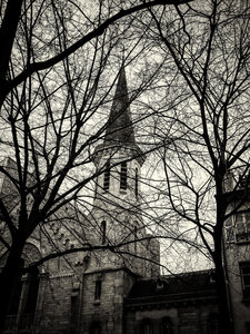 Boîte à Polas - 2014, 2014_249