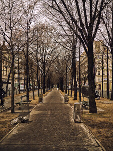 Boîte à Polas - 2014, 2014_251