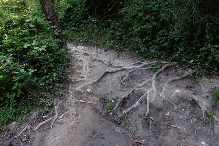 20240822 - Rando au Lac de Monteynard, 034