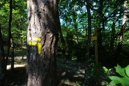20240822 - Rando au Lac de Monteynard, 036