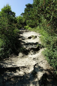 20240822 - Rando au Lac de Monteynard, 044