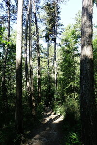 20240822 - Rando au Lac de Monteynard, 047