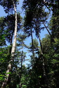 20240822 - Rando au Lac de Monteynard, 048