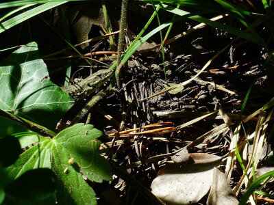 20240822 - Rando au Lac de Monteynard, 051