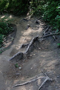 20240822 - Rando au Lac de Monteynard, 055