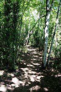 20240822 - Rando au Lac de Monteynard, 071