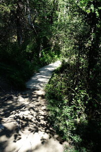 20240822 - Rando au Lac de Monteynard, 075