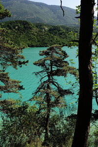 20240822 - Rando au Lac de Monteynard, 076