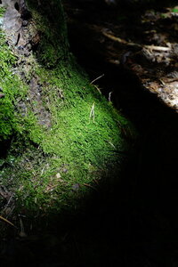 20240822 - Rando au Lac de Monteynard, 080