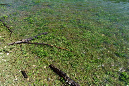 20240822 - Rando au Lac de Monteynard, 083