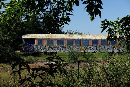 20240822 - Rando au Lac de Monteynard, 100