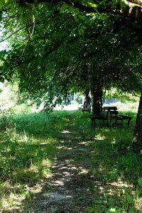 20240822 - Rando au Lac de Monteynard, 101