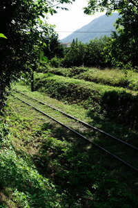 20240822 - Rando au Lac de Monteynard, 102