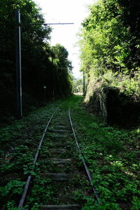 20240822 - Rando au Lac de Monteynard, 104