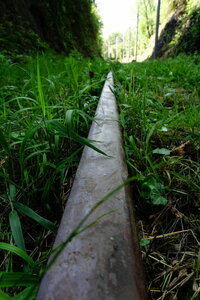 20240822 - Rando au Lac de Monteynard, 105