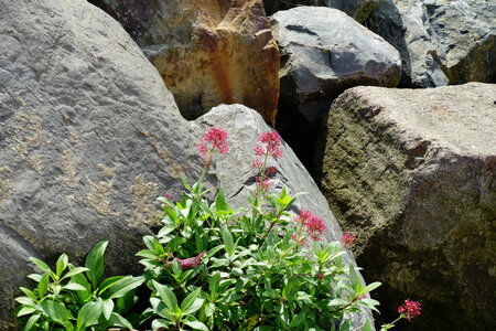 20241031 - Ponton du Vendée Globe, 017