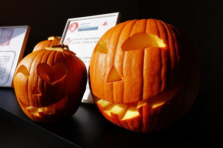 20241031 - Ponton du Vendée Globe, 081