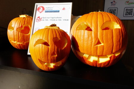 20241031 - Ponton du Vendée Globe, 082