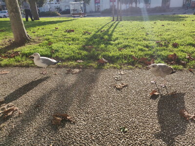 20241031 - Ponton du Vendée Globe, 104