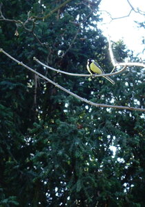 20250401 - Tour de Paris par la Petite Ceinture, 003