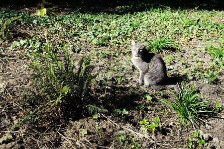 20250401 - Tour de Paris par la Petite Ceinture, 005