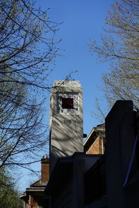 20250401 - Tour de Paris par la Petite Ceinture, 015