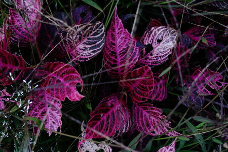 20241106 - Maison Picassiette, 043