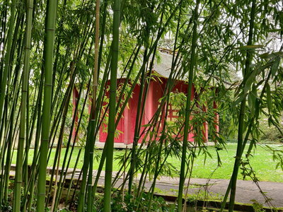 20240406 - Jardin d'Agronomie Tropicale et École du Breuil, 009