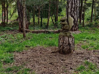 20240406 - Jardin d'Agronomie Tropicale et École du Breuil, 016