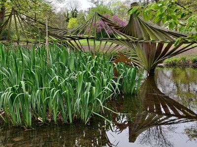 20240406 - Jardin d'Agronomie Tropicale et École du Breuil, 017