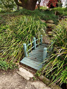 20240406 - Jardin d'Agronomie Tropicale et École du Breuil, 024