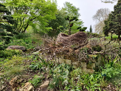 20240406 - Jardin d'Agronomie Tropicale et École du Breuil, 025