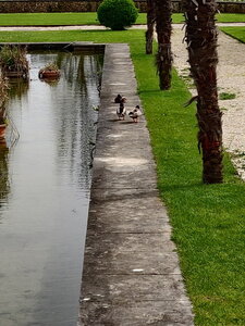 20240406 - Jardin d'Agronomie Tropicale et École du Breuil, 030