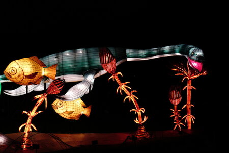 20250111 - Illuminations 2024 - Jurassique en voie d'illumination, 002