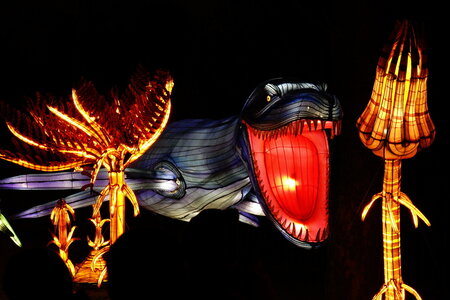 20250111 - Illuminations 2024 - Jurassique en voie d'illumination, 003