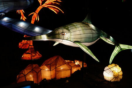 20250111 - Illuminations 2024 - Jurassique en voie d'illumination, 004