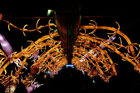 20250111 - Illuminations 2024 - Jurassique en voie d'illumination, 005