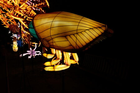 20250111 - Illuminations 2024 - Jurassique en voie d'illumination, 006