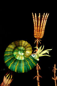 20250111 - Illuminations 2024 - Jurassique en voie d'illumination, 008